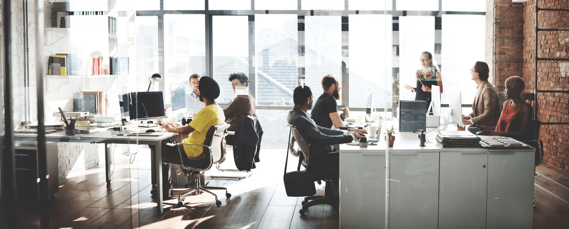 Program management banner