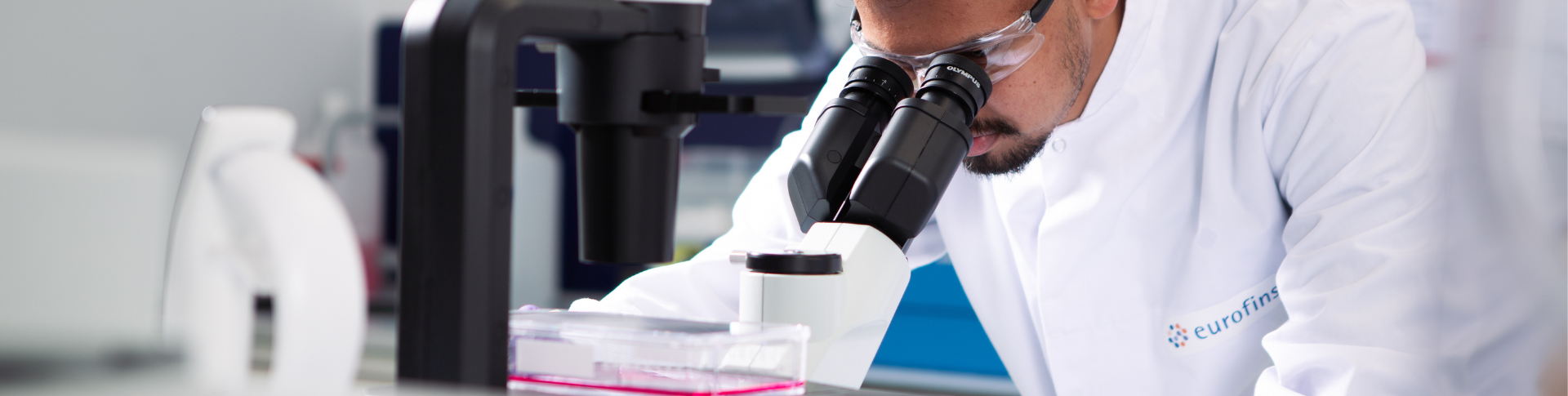 Brochure, Flyers, Events (1)